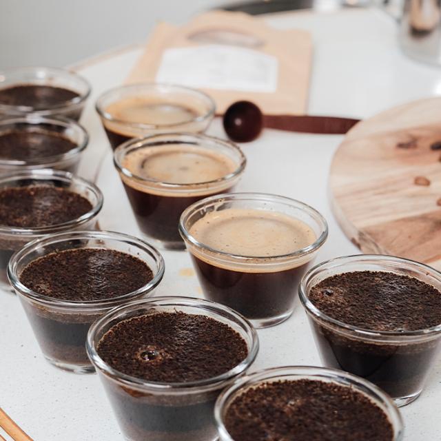 BKI coffee in glasses ready for the cupper to ensure the quality 