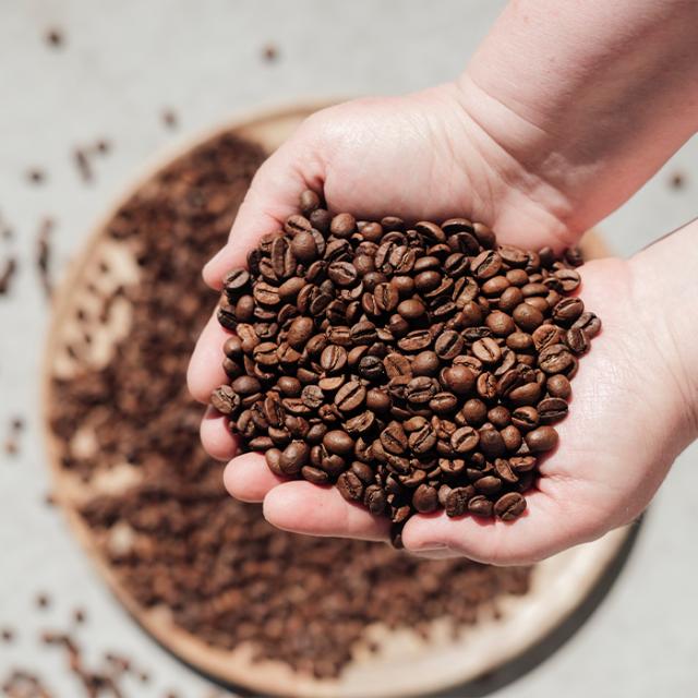 BKI coffee beans in hands being a part of the Science Based Targets initiatives