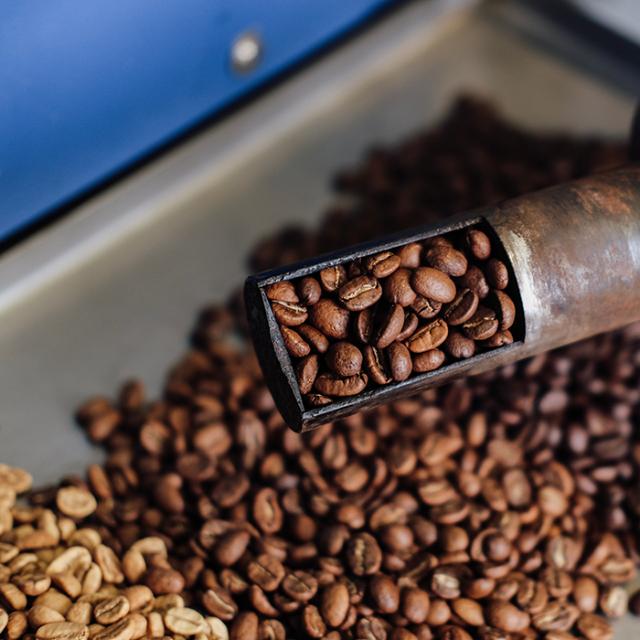 roasted coffee beans from BKI full-service supplier